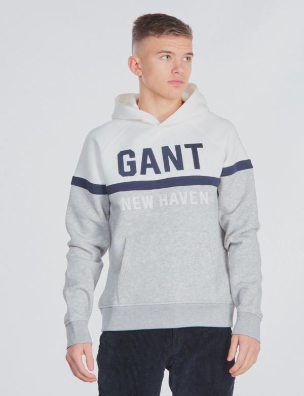 Gant Three Colors Sweat Hoodie Huppari Harmaa