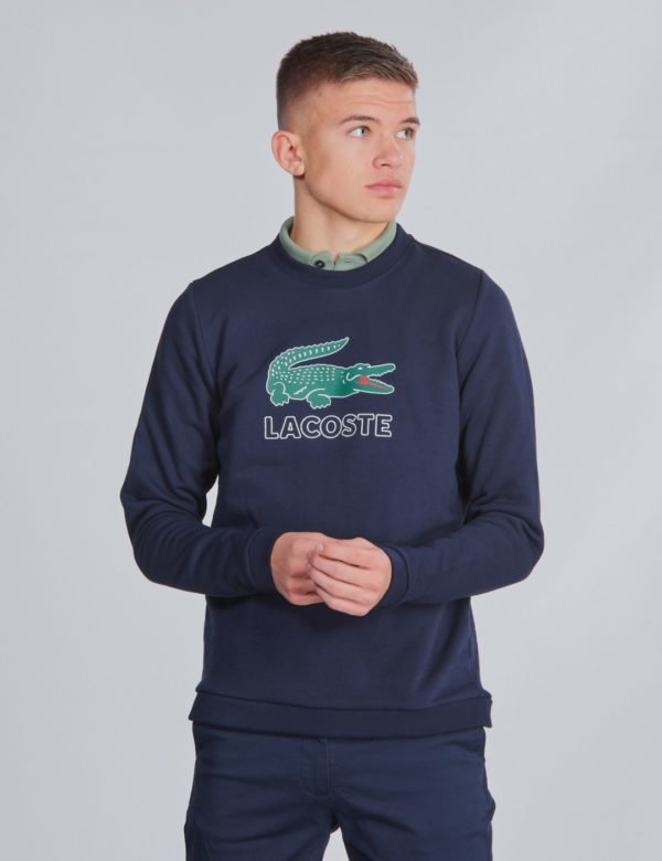 Lacoste Sweatshirt Neule Sininen